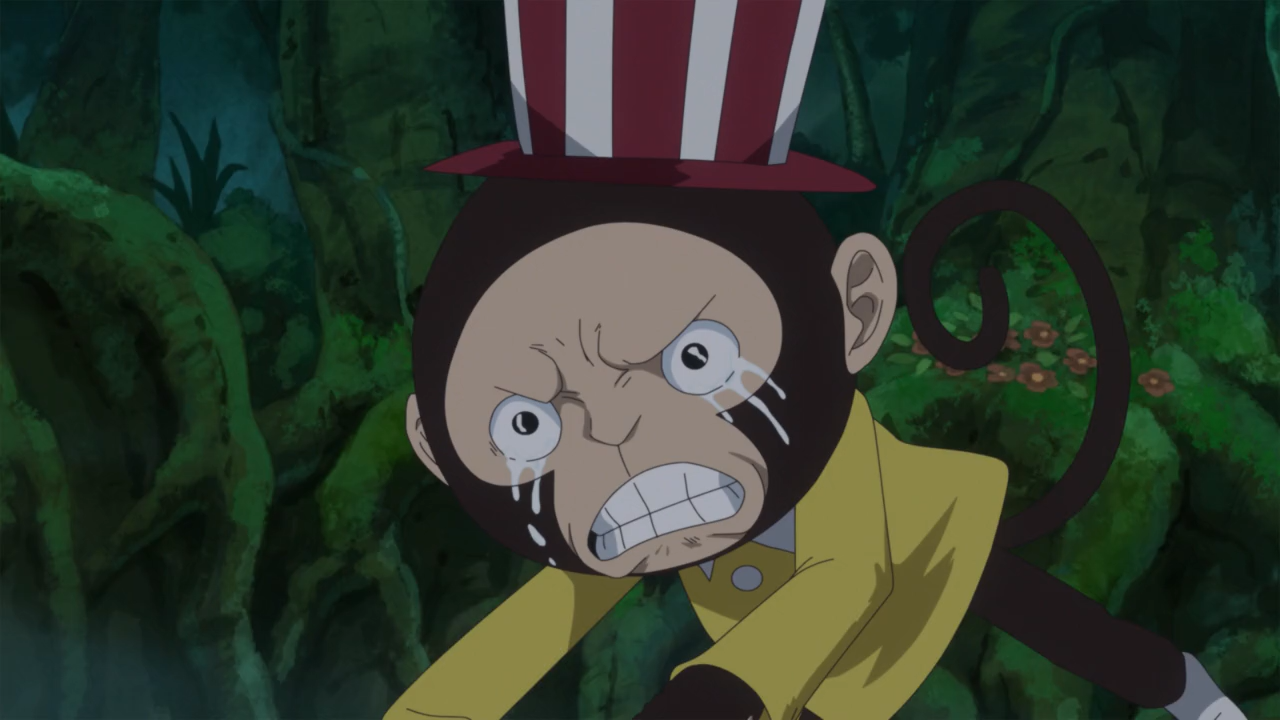 One Piece Anime Torrent