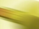 Screenshot at 00:00:14 preview