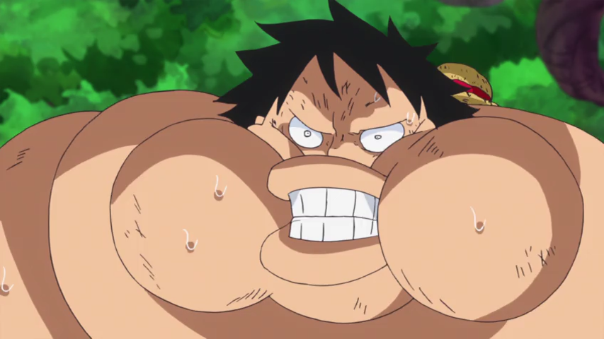 HorribleSubs One Piece 806 480p