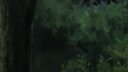 Screenshot at 00:05:37 preview