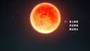 Screenshot at 00:00:09 preview