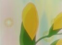 Screenshot at 00:00:02 preview
