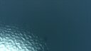 Screenshot at 00:00:12 preview