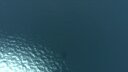 Screenshot at 00:00:12 preview