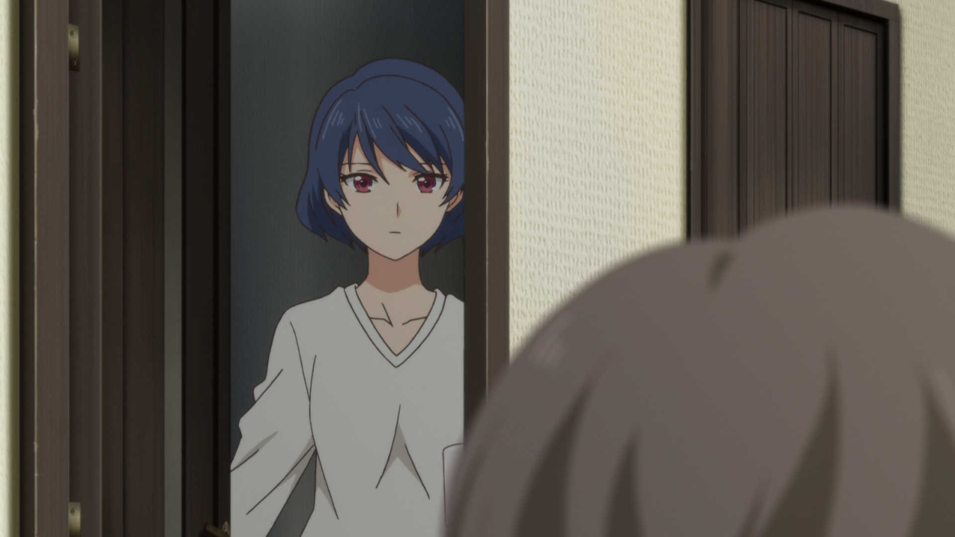 Domestic Na Kanojo 02 Vostfr