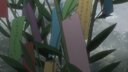Screenshot at 00:05:55 preview