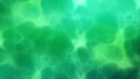 Screenshot at 00:00:10 preview