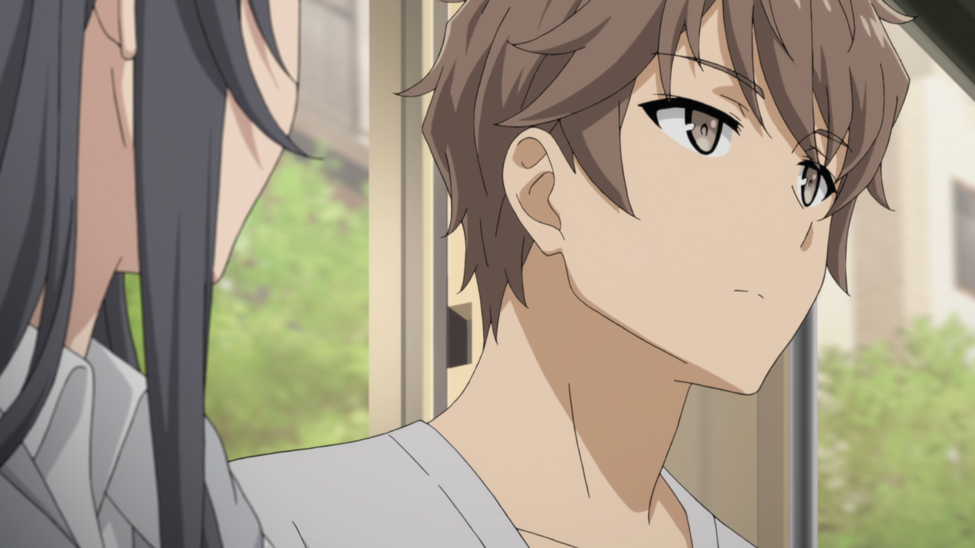 File:Seishun Buta Yarou wa Bunny Girl Senpai no Yume wo Minai10 1