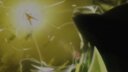 Screenshot at 00:00:10 preview