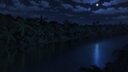 Screenshot at 00:00:13 preview
