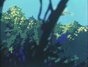 Screenshot at 00:00:14 preview