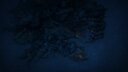 Screenshot at 00:00:14 preview