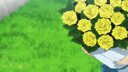Screenshot at 00:06:16 preview