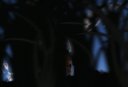 Screenshot at 00:00:14 preview