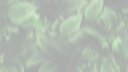 Screenshot at 00:00:05 preview