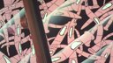 Screenshot at 00:00:10 preview
