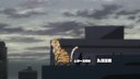 Screenshot at 00:00:14 preview