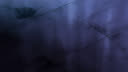 Screenshot at 00:00:15 preview