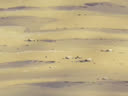 Screenshot at 00:00:15 preview
