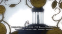 Screenshot at 00:00:15 preview
