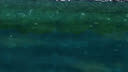 Screenshot at 00:00:15 preview
