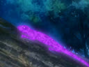 Screenshot at 00:06:15 preview