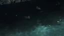 Screenshot at 00:05:43 preview