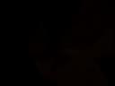 Screenshot at 00:00:15 preview
