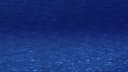 Screenshot at 00:00:15 preview