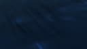 Screenshot at 00:00:15 preview
