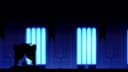 Screenshot at 00:00:15 preview