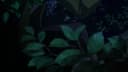 Screenshot at 00:00:15 preview