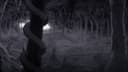 Screenshot at 00:00:15 preview
