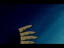 Screenshot at 00:06:06 preview